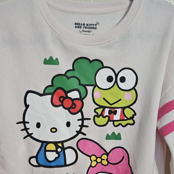 Sanrio Hello Kitty and Friends Pink Apparel - Picture 5 of 8